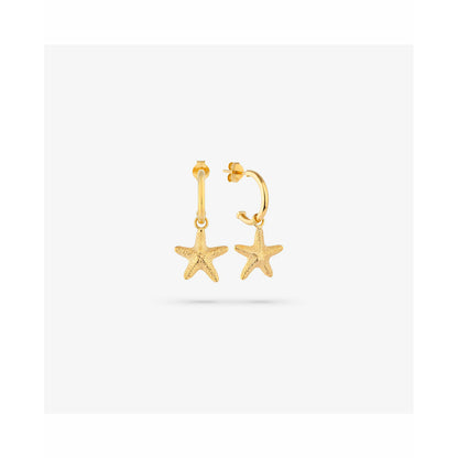 V4HB0D4CCECD6746F0D6B07FAB5CF596BCCR4243707P4