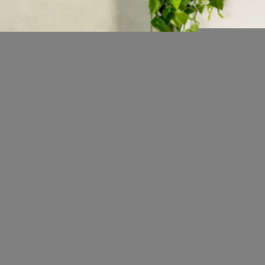 V9H1E48B3767E8B34CD2182DA994B1102BCR6609771P3