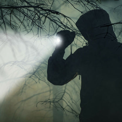 V10H386E8A8954F4F0F81D80C22170329B7CR5365405P3