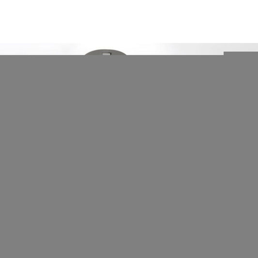 V4H9734387E59F5D6385B987C73528ED23BR4967971P2