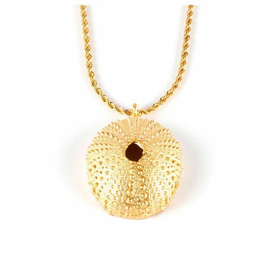 V5H2ACC0E96F3CDD3448775B6F8094E2FD9R4326600P1