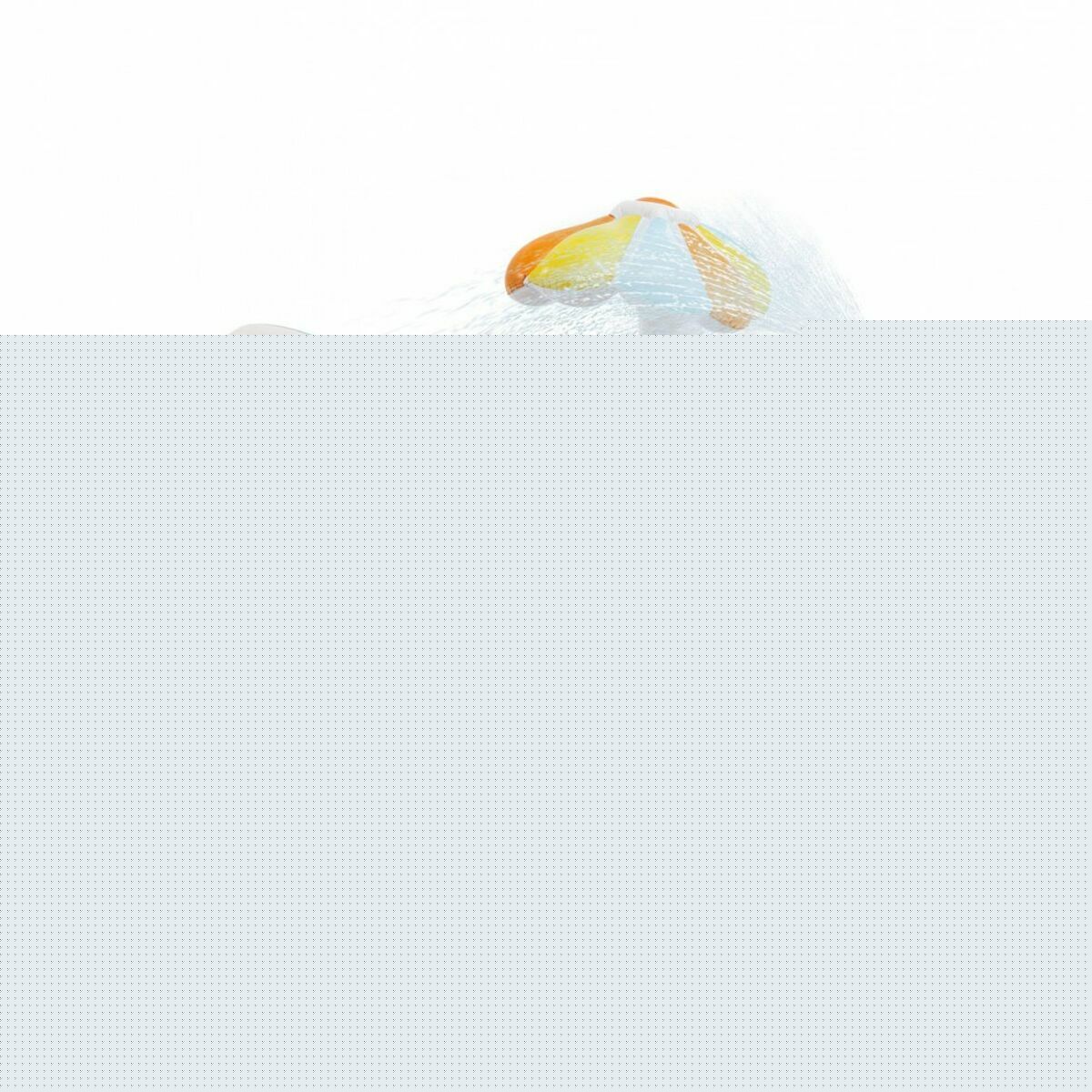 V7H932CAC1883A90FD52B30243F59C43D02R5410972P1